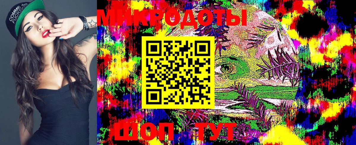 Галлюциногенные грибы Psilocybe Топки