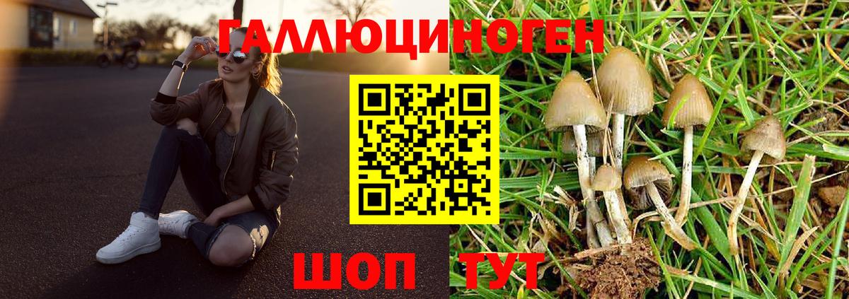 Топки  Псилоцибиновые грибы мухоморы  Галлюциногенные грибы мухоморы  Вход с VPN 